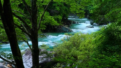 夏日溪谷溪流