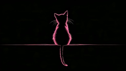 可爱猫咪背影