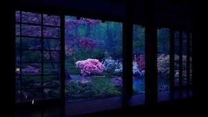亭苑禅园下雨