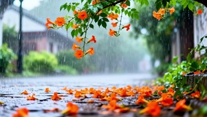 治愈小雨4K