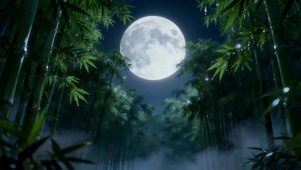 竹林圆月
