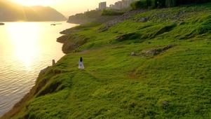 超美愿景