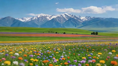 雪山下的花海