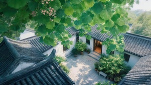 绿荫下古院