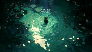猫咪的凝视