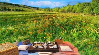 在梦幻般的草原上野餐