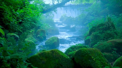 清晨溪流瀑布鸟鸣