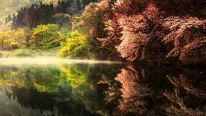 湖泊美景