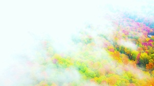 4K治愈人间仙境