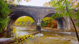 秋雨桥洞河流