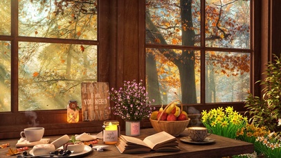 窗外的秋林落叶