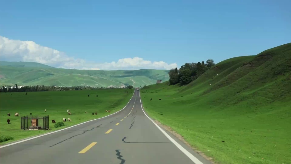 写实摄影风景画面：浅灰色双向铺装公路向前延伸，两侧是覆盖鲜绿草本的缓坡草原，草地上散落着放牧牲畜，远处是层叠低缓青山，浅蓝天空点缀大块白色积云。
