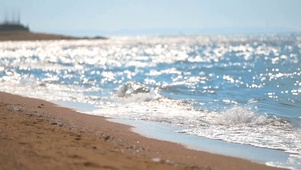 夏季海滩