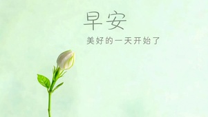 早安美好的一天开始了