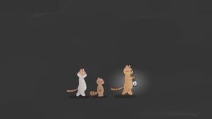 三只猫