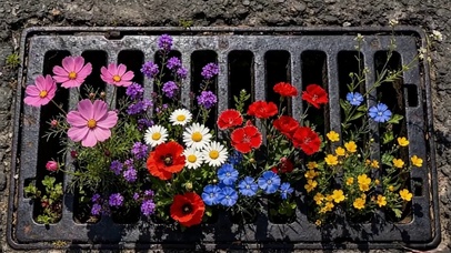 路边小花 4k