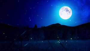 中秋月圆夜