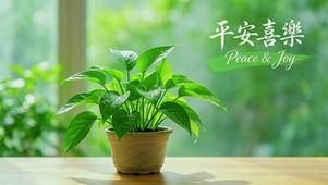 清新绿萝