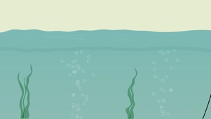 海底世界