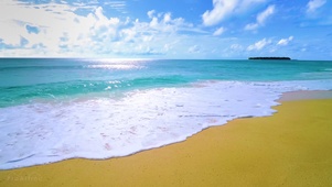 4k 海滩