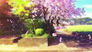 樱花道