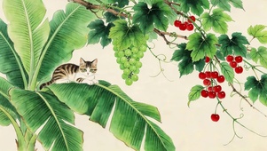 芭蕉叶上猫咪