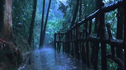 傍晚山间雨