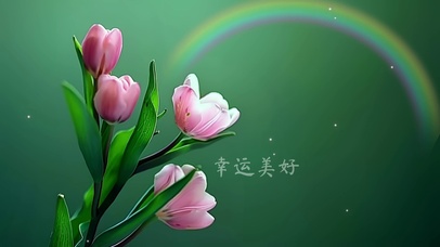 幸运美好简约护眼壁纸