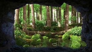 护眼洞外小溪