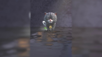 斑布猫-你比自己想象的更强大