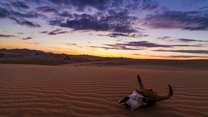 4K 沙漠公牛头盔