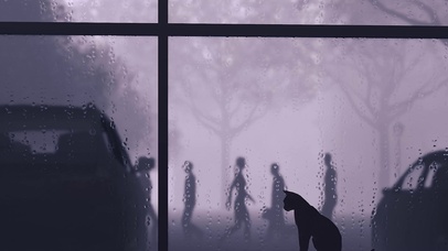 动态超高清60帧动物孤独的猫