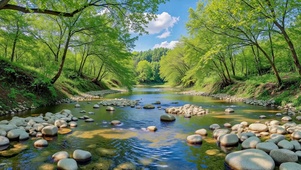 绿意盎然林间溪流风景