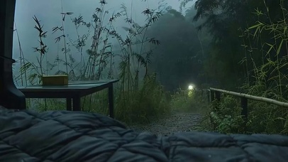 夜景树木带鱼屏