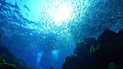 海底的丁达尔效应~