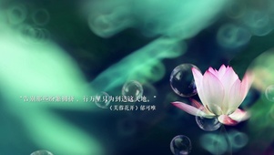 文字告别拥挤芙蓉花开荷花郁可唯