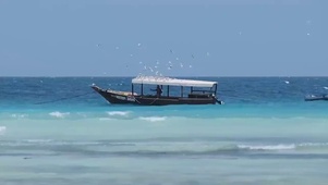 海 4K