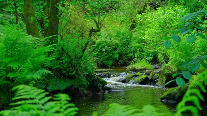 唯美护眼小溪4K