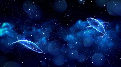 星辰大海（循环）