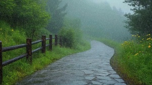 山间细雨4K