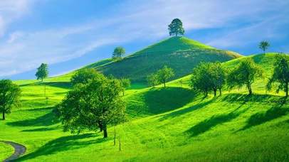 绿色护眼山丘