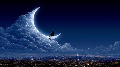 夜景猫咪