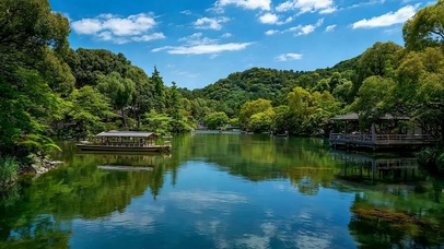 护眼绿景树木