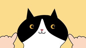 可爱黑白奶牛猫戳脸动态壁纸