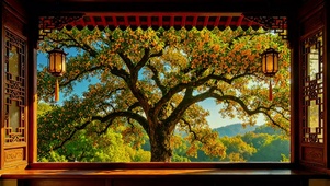 古风桂花窗景