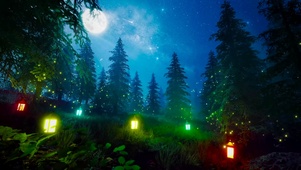 安静夜晚星空森林