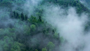 #极简主义 4K【风景013】