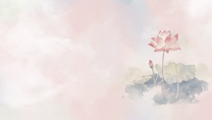 国风治愈莲花