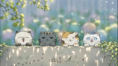墙头四只花猫