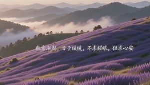 秋意 心安